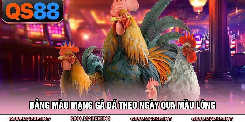 Bảng màu mạng gà đá theo ngày qua màu lông