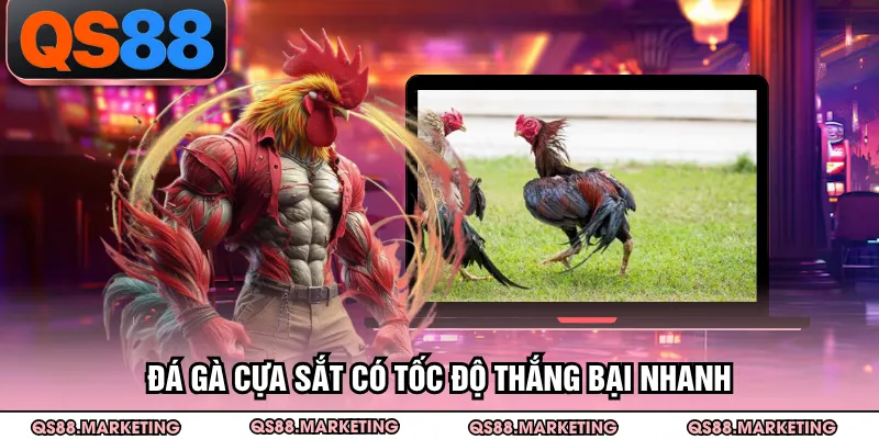 Đá gà cựa sắt có tốc độ thắng bại nhanh