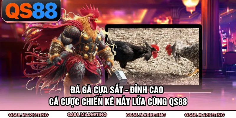 Đá Gà Cựa Sắt - Đỉnh Cao Cá Cược Chiến Kê Nảy Lửa Cùng QS88