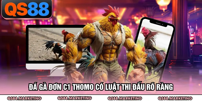 Đá gà đơn C1 Thomo có luật thi đấu rõ ràng