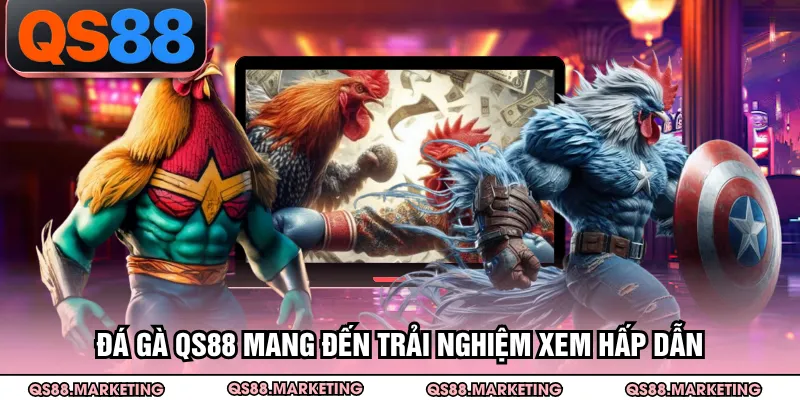 Đá gà QS88 mang đến trải nghiệm xem hấp dẫn