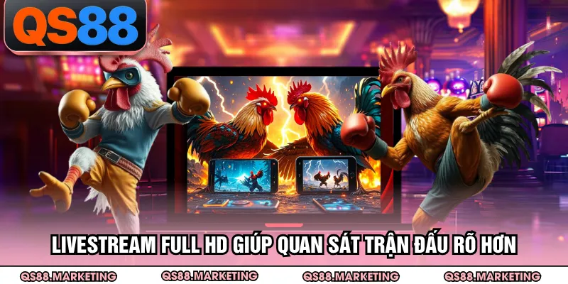 Livestream Full HD giúp quan sát trận đấu rõ hơn
