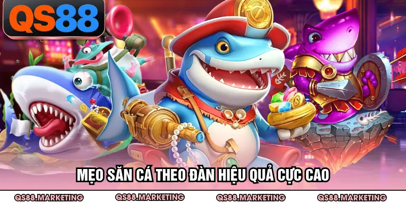 Mẹo săn cá theo đàn hiệu quả cực cao